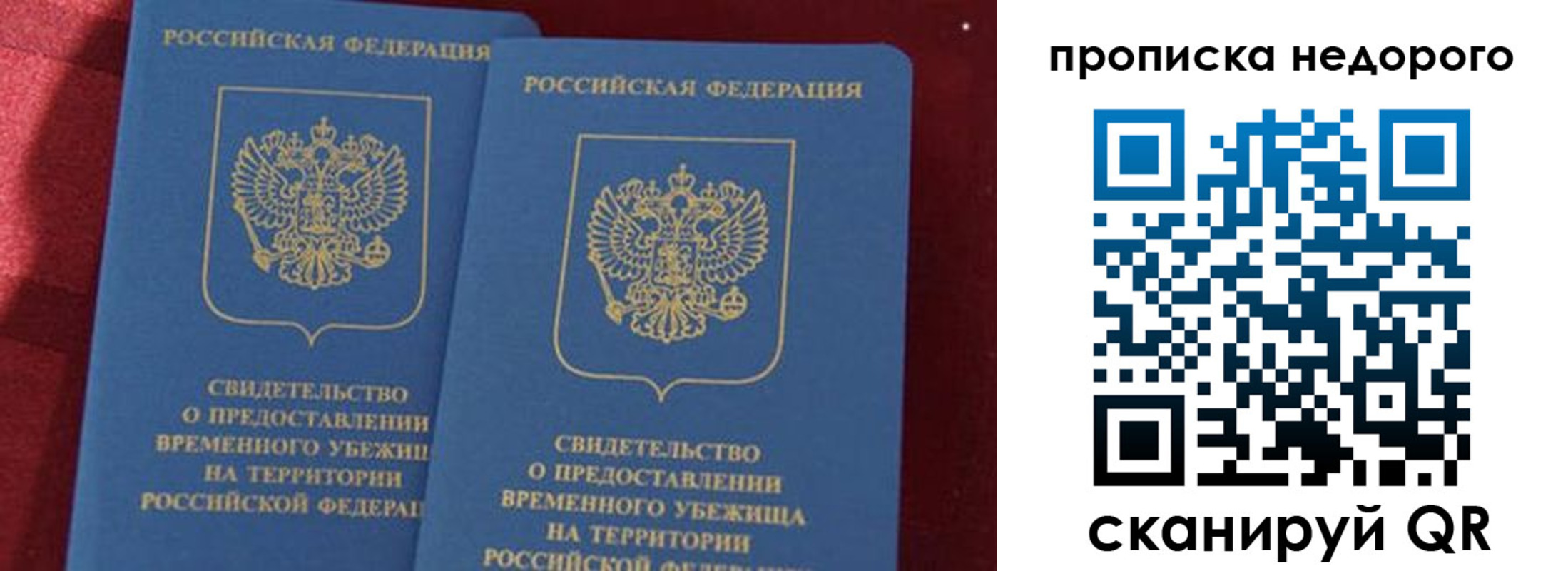 прописка гарантия в Ртищево